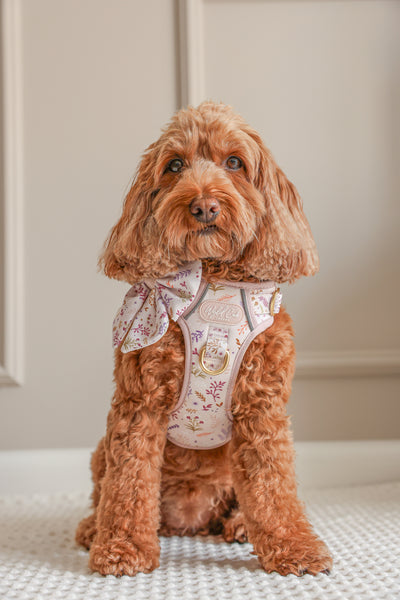 Step & Switch® Dog Harness: Chiswick Oyster