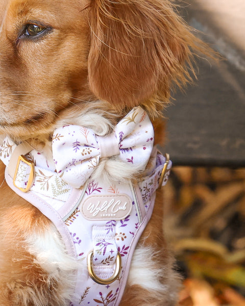 Step & Switch® Dog Harness: Chiswick Oyster
