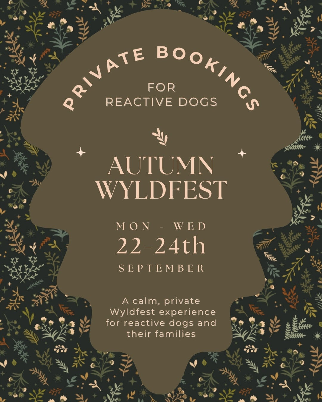 Private Bookings for Reactive Dogs: WyldFest '25
