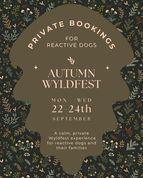 Private Bookings for Reactive Dogs: WyldFest '25