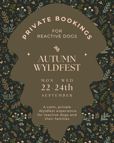 Private Bookings for Reactive Dogs: WyldFest '25