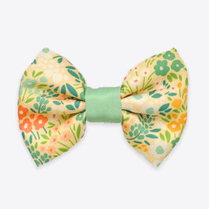 Dog Bow Tie: Notting Hill Lemongrass