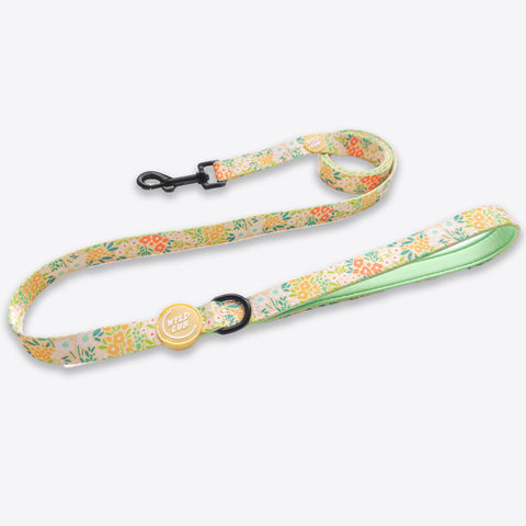 Dog Lead: Notting Hill Lemongrass