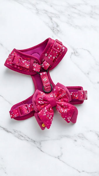 Dog Butterfly Bow Tie: Notting Hill Raspberry