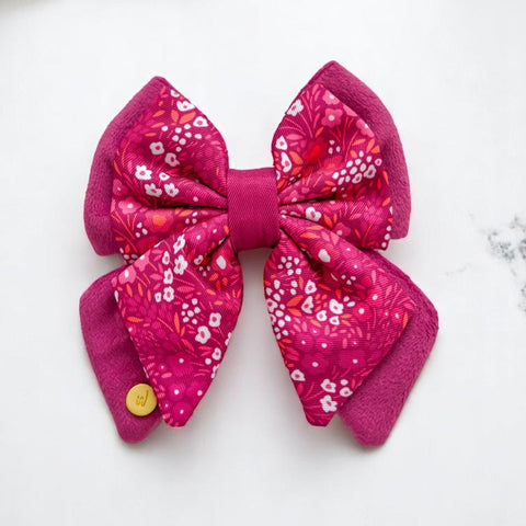 Dog Butterfly Bow Tie: Notting Hill Raspberry
