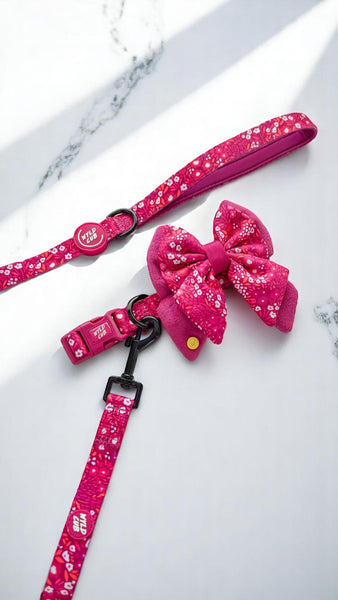 Dog Butterfly Bow Tie: Notting Hill Raspberry