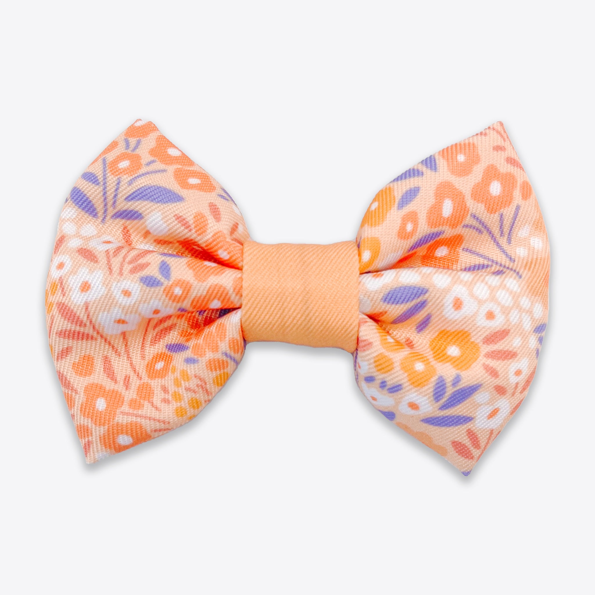 Dog Bow Tie: Notting Hill Buttercup