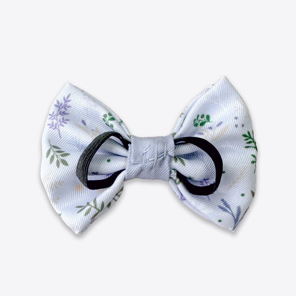 Dog Bow Tie: Chiswick Thistle