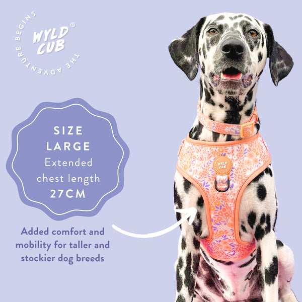 Adjustable Dog Harness: Notting Hill Buttercup