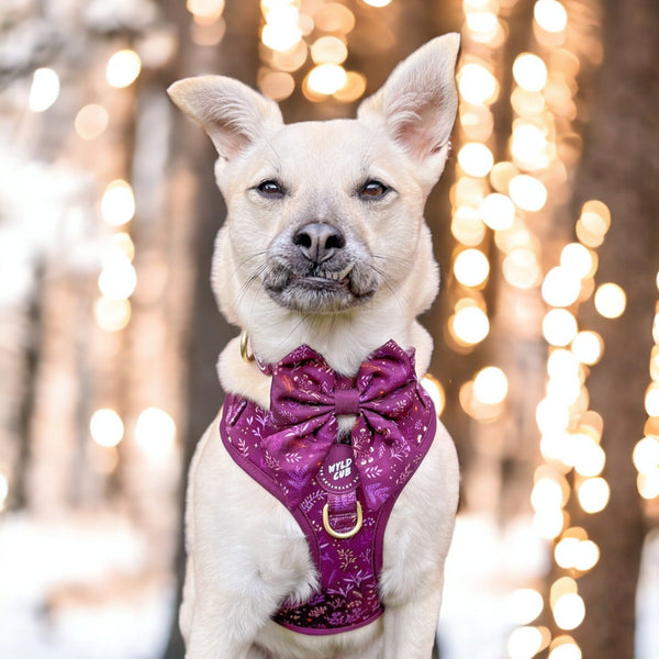 Dog Sailor Bow Tie: Chiswick Fig