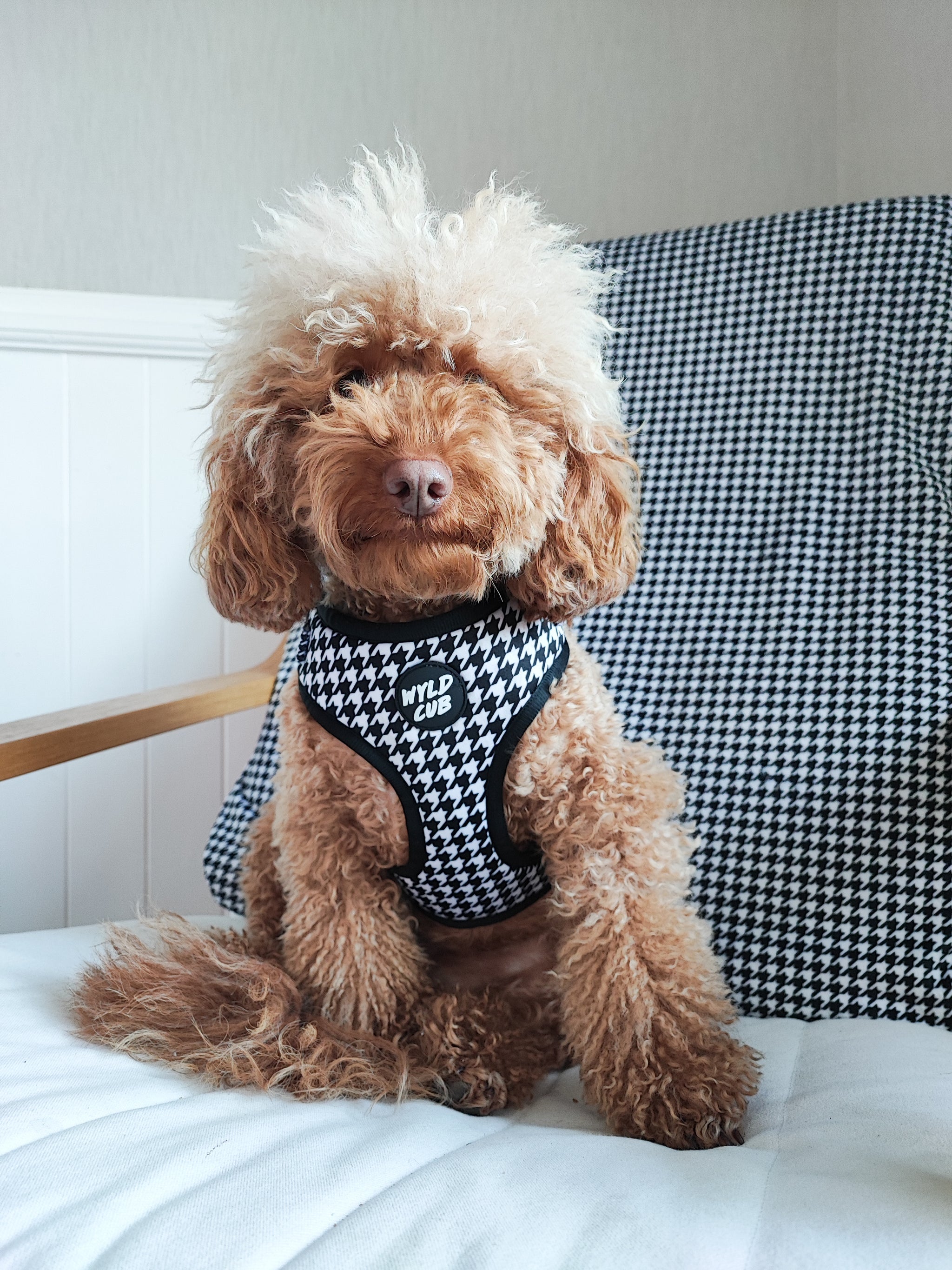 Puppia Kent Dog Harness - Over-the-Head Warm Winter Houndstooth Harness For Small/Medium Dogs, Adjustable (Wine, Medium)