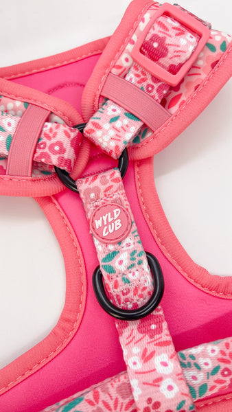 Adjustable Dog Harness: Notting Hill Rosé