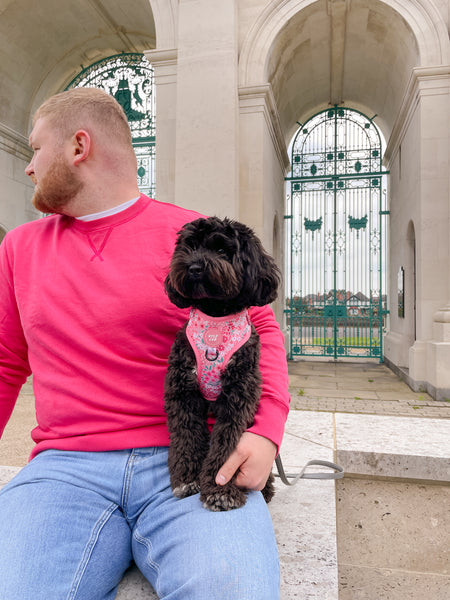 Adjustable Dog Harness: Notting Hill Rosé