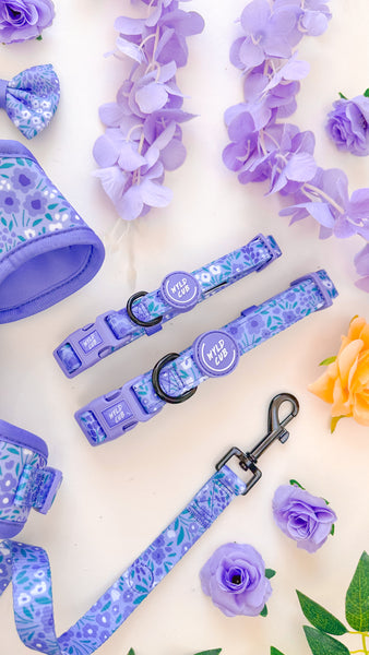 Adjustable Dog Collar: Notting Hill Wisteria