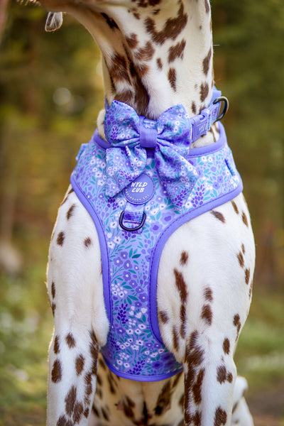 Adjustable Dog Harness: Notting Hill Wisteria