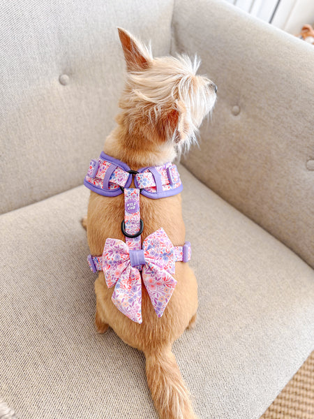 Adjustable Dog Harness: Notting Hill Lilac