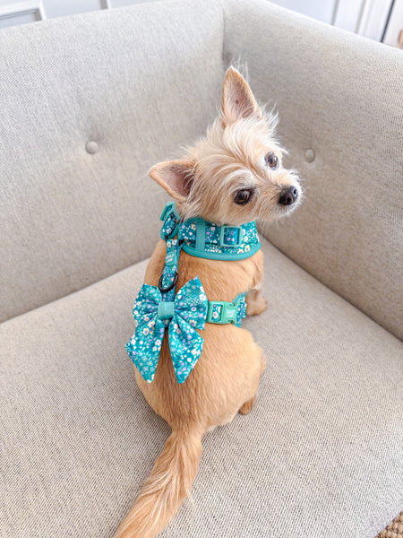 Dog Sailor Bow Tie: Notting Hill Mint