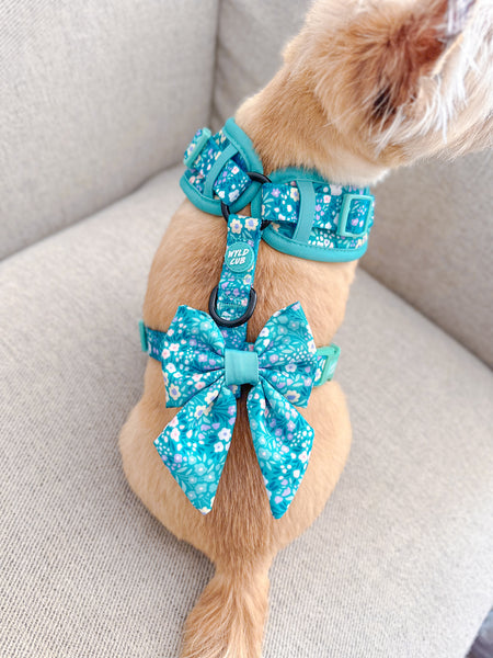 Dog Sailor Bow Tie: Notting Hill Mint