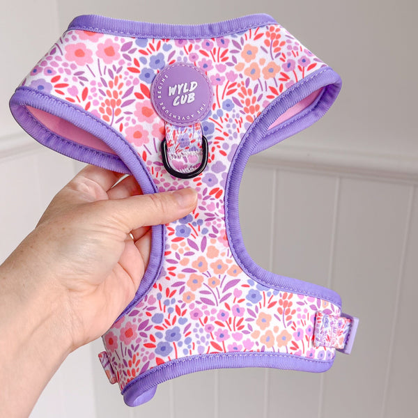 Adjustable Dog Harness: Notting Hill Lilac