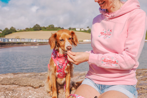 Organic Embroidered Wyld Heart Hoodie: Rosé