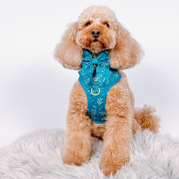 Dog Sailor Bow Tie: Chiswick Alpine