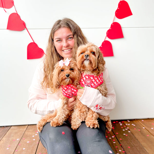 Organic Embroidered Wyld Heart Hoodie: Coral x Blush