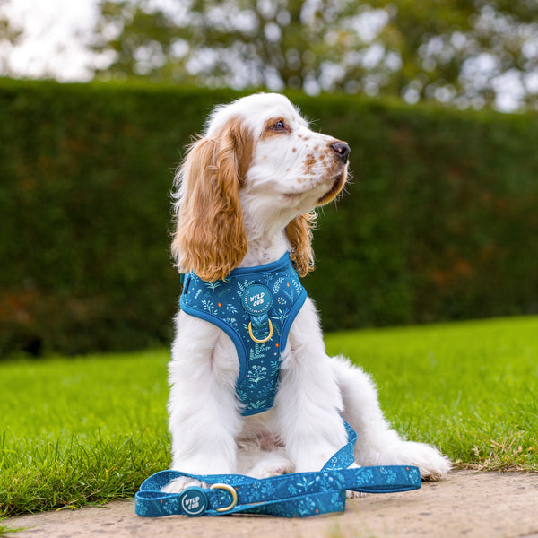 Adjustable Dog Harness: Chiswick Alpine