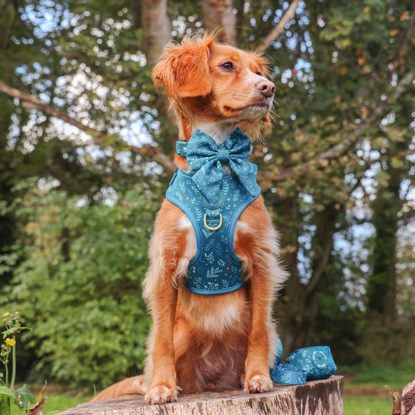 Dog Sailor Bow Tie: Chiswick Alpine