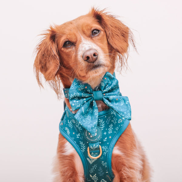 Dog Sailor Bow Tie: Chiswick Alpine
