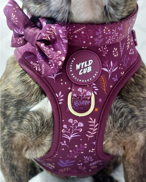Adjustable Dog Collar: Chiswick Fig