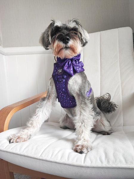 Adjustable Dog Harness: Notting Hill Blackberry