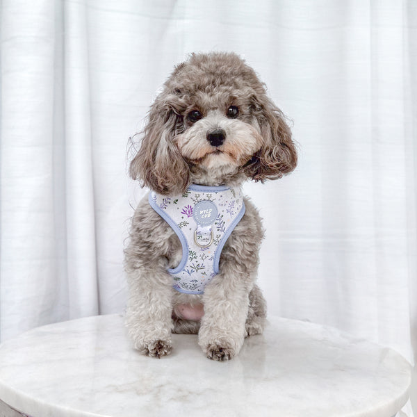 Adjustable Dog Harness: Chiswick Thistle