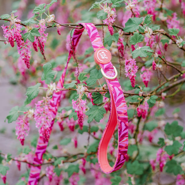 Dog Lead: Kew Honeysuckle