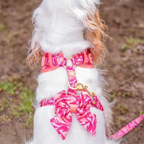 Dog Sailor Bow Tie: Kew Honeysuckle