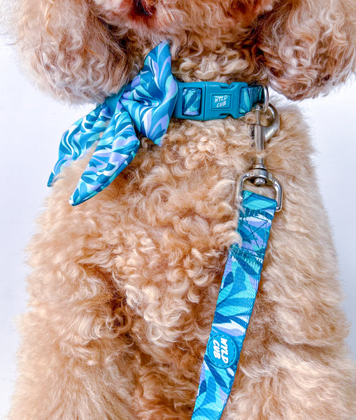 Adjustable Dog Collar: Kew Agave