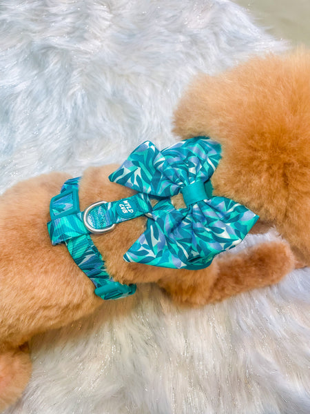 Dog Sailor Bow Tie: Kew Agave