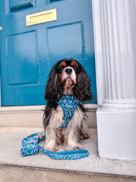 Dog Poop Bag Holder: Kew Agave
