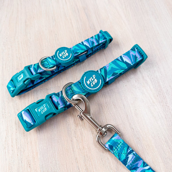 Adjustable Dog Collar: Kew Agave