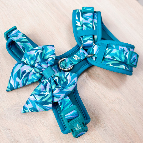 Dog Sailor Bow Tie: Kew Agave