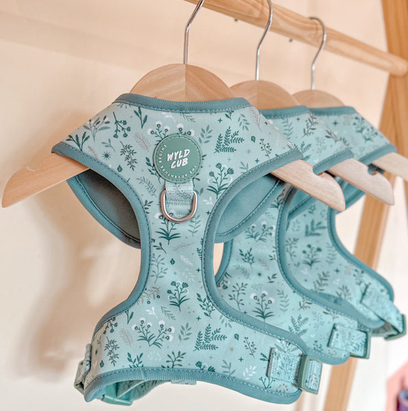 Adjustable Dog Harness: Chiswick Pistachio