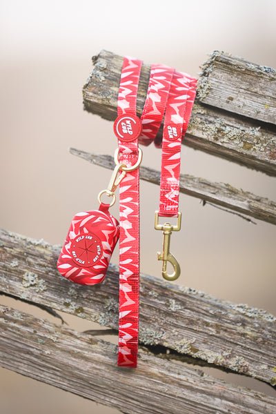 Dog Poop Bag Holder: Kew Acer