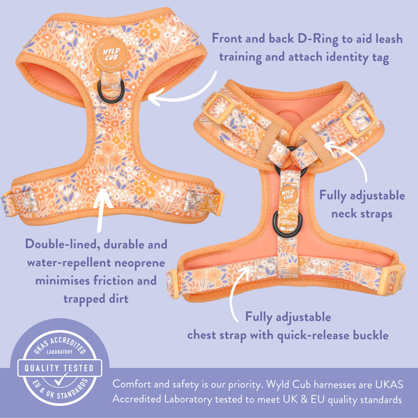 Adjustable Dog Harness: Notting Hill Buttercup