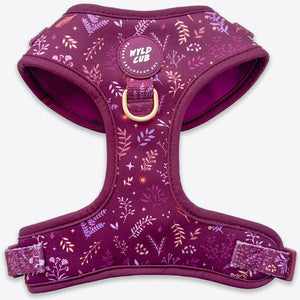 Adjustable Dog Harness: Chiswick Fig