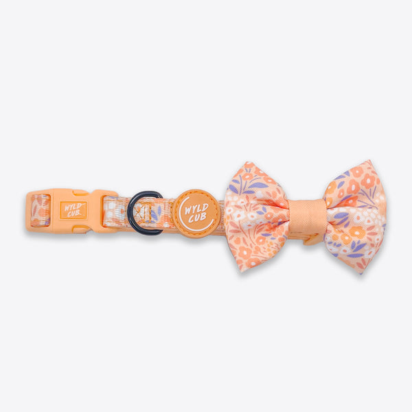 Dog Bow Tie: Notting Hill Buttercup