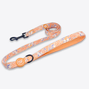 Dog Lead: Notting Hill Buttercup