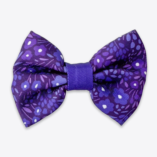 Dog Bow Tie: Notting Hill Blackberry