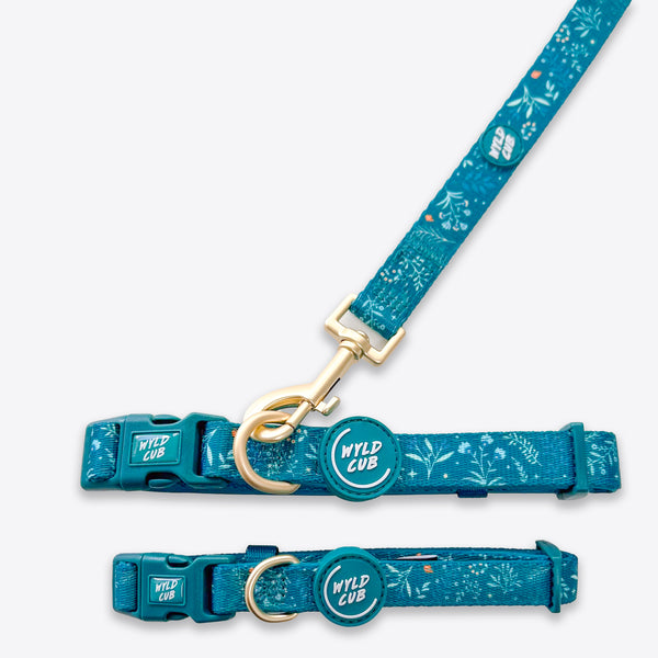 Adjustable Dog Collar: Chiswick Alpine