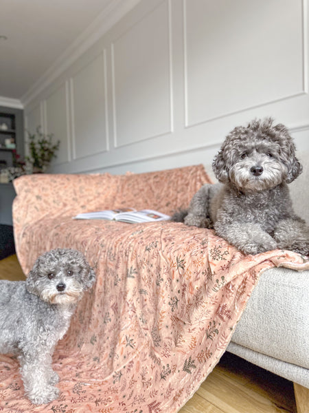 Blanket: Chiswick Nutmeg