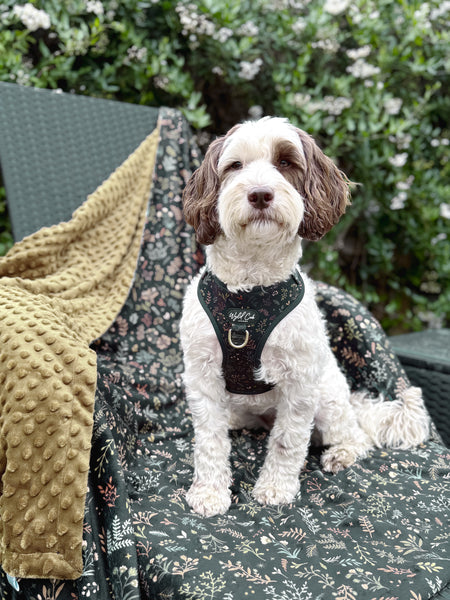 Blanket: Chiswick Ravenwood