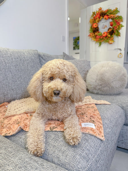 Blanket: Chiswick Nutmeg